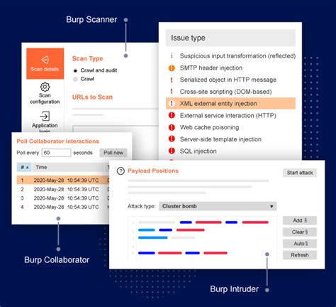 burp suite professional download